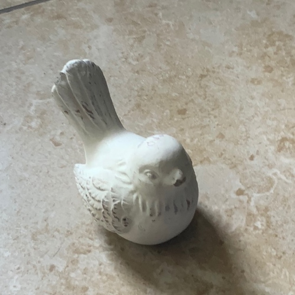 Cottagecore Distressed White Bird Decor